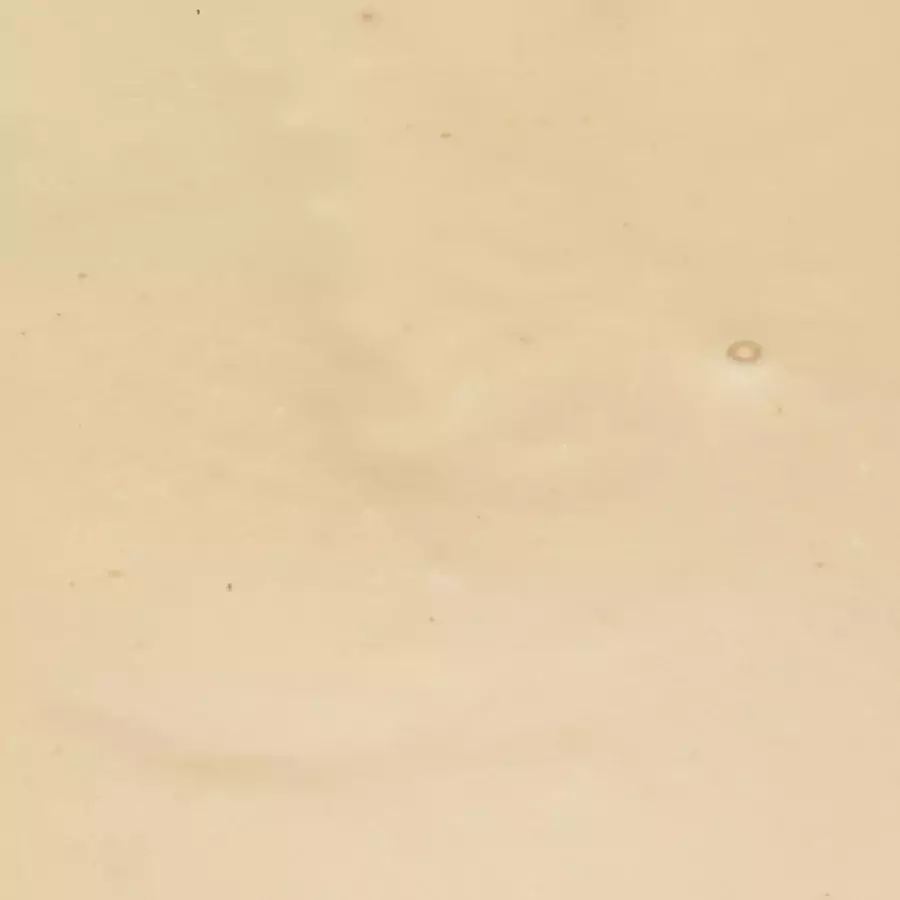 Bijproduct Erwten-Creme