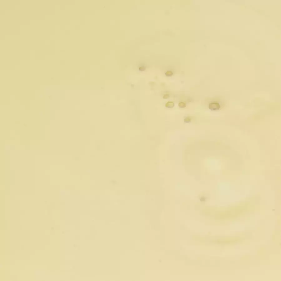 Bijproduct FH-Weipermeaat