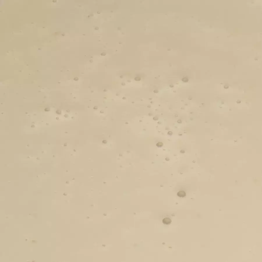 Bijproduct Tarwezetmeel Tarpro