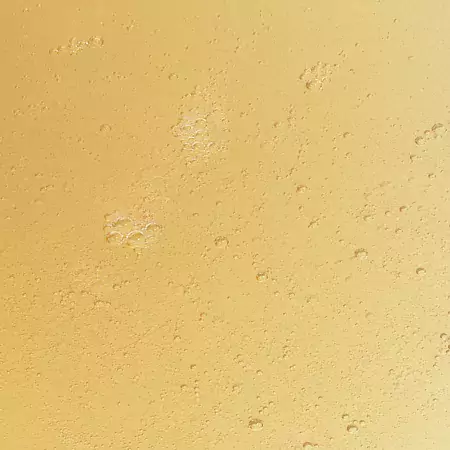 Voerbier