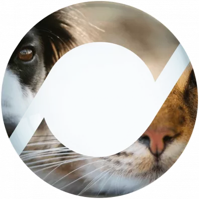 The world of petfood