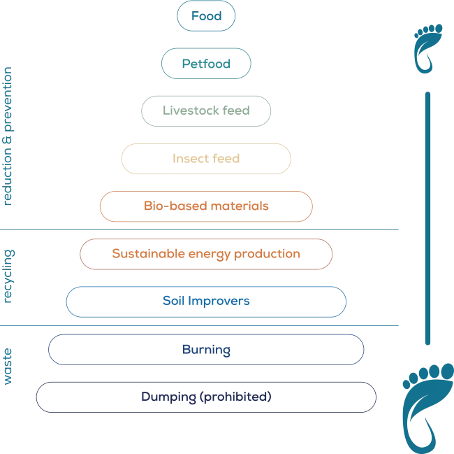 Outline-Ladder-of-Looop