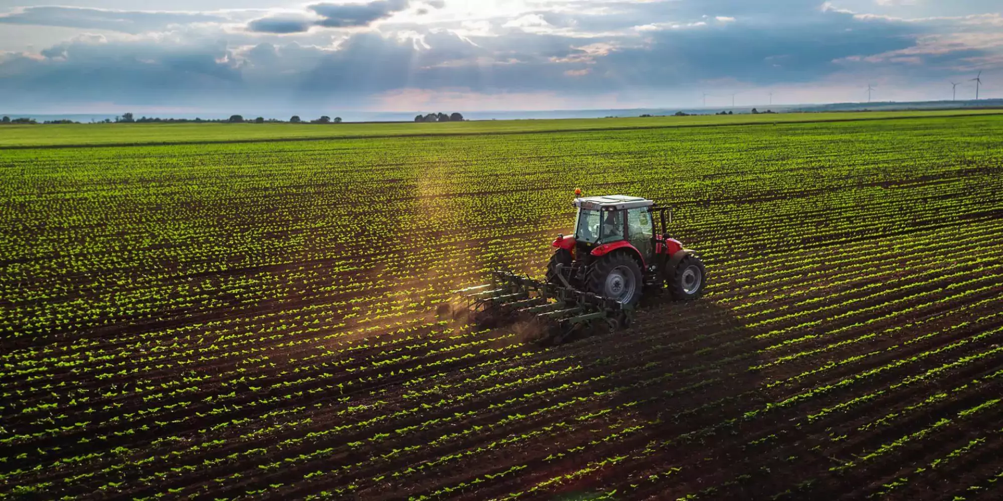 Soil improvers - Digestate