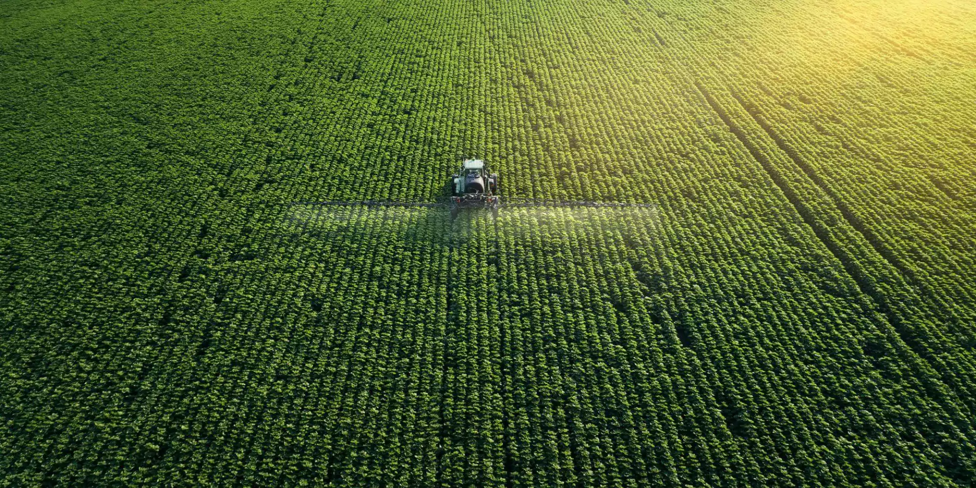 Soil improvers - agriculture 