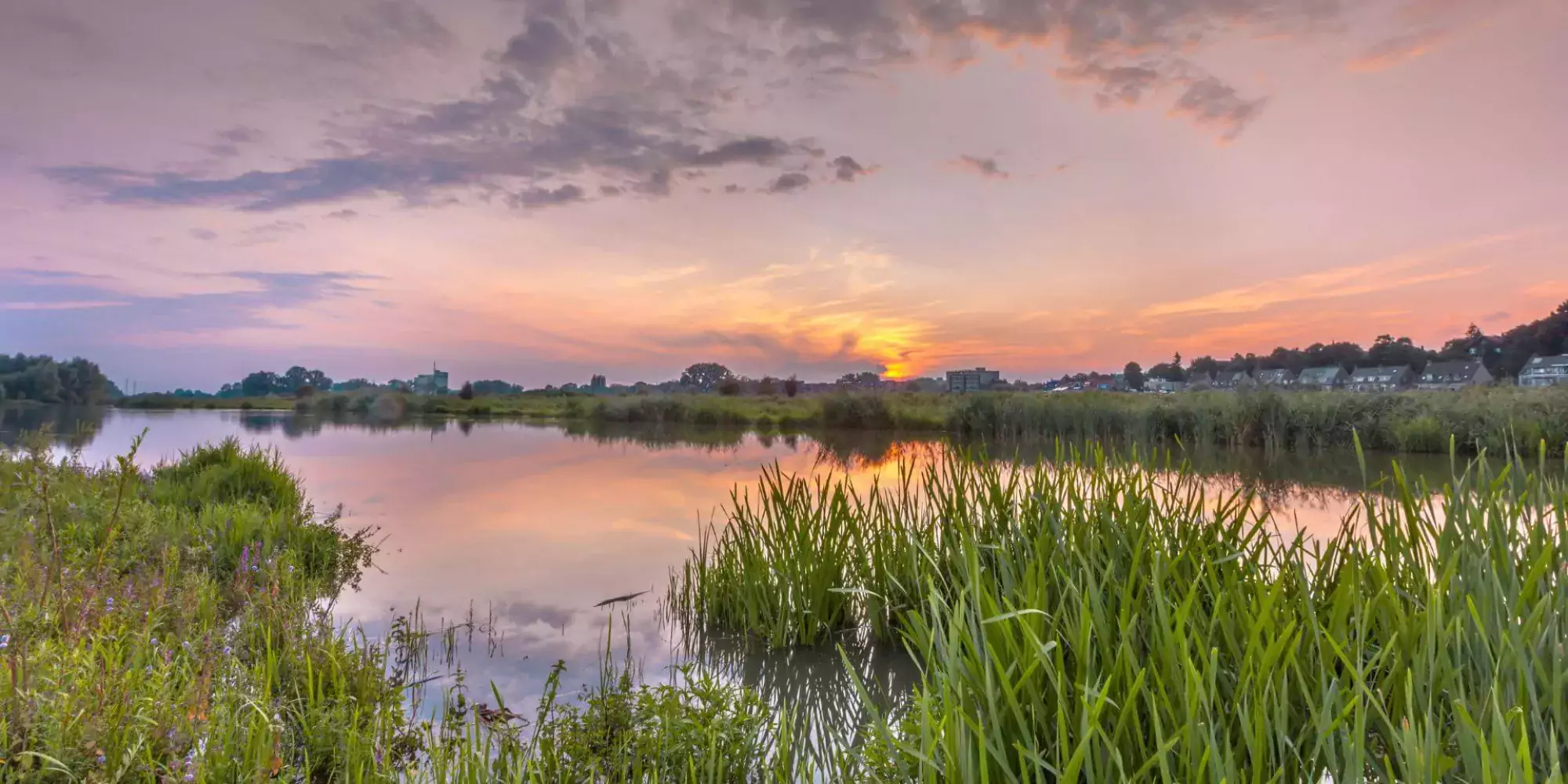 Water purification - Innovative Renewables 